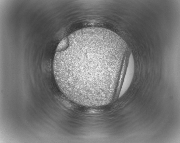 X0000065240657200603172139
