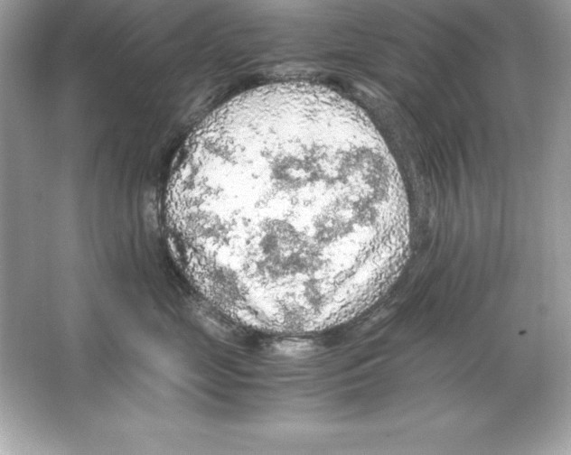 X0000065240669200603172140
