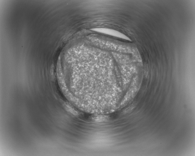 X0000065240670200603172140