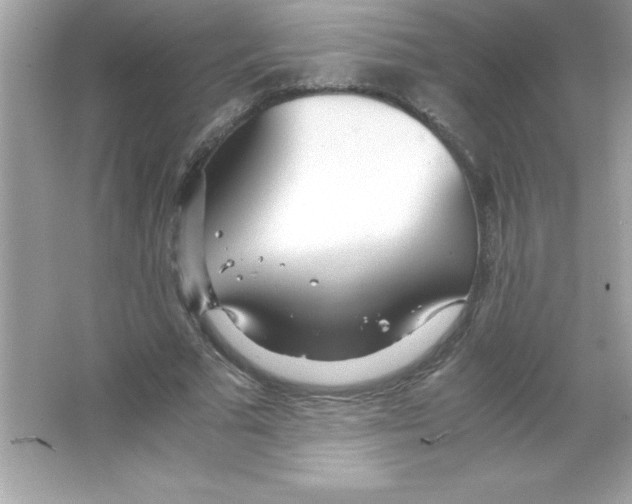 X0000065240681200603172139