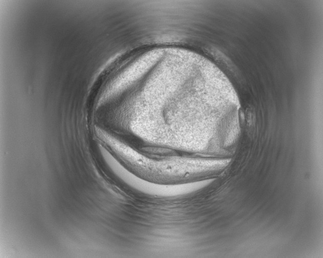 X0000065240684200603172139