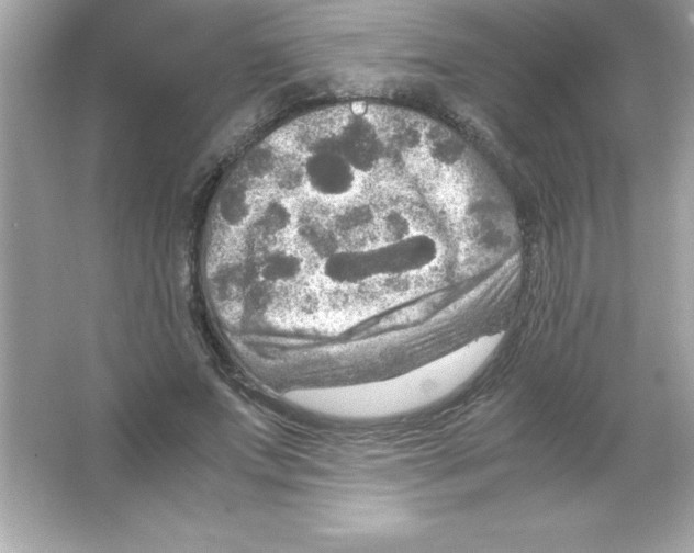 X0000065240687200603172139