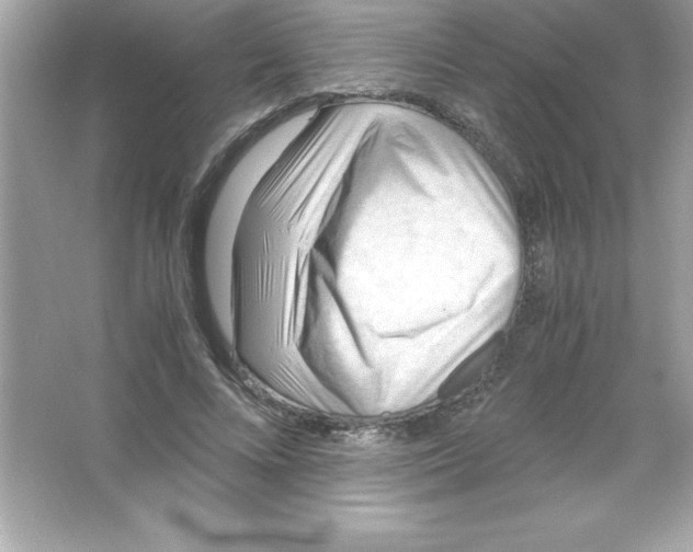 X0000065240688200603172139