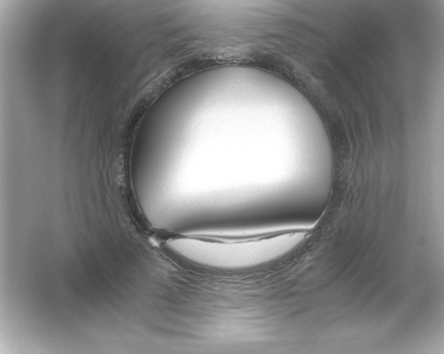 X0000065240689200603172139