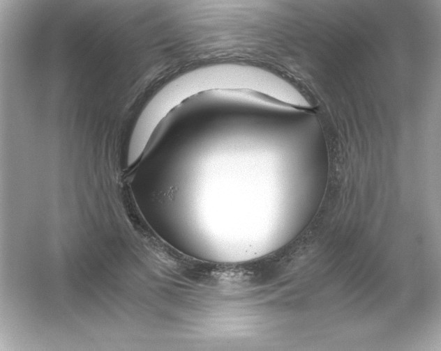 X0000065240693200603172138