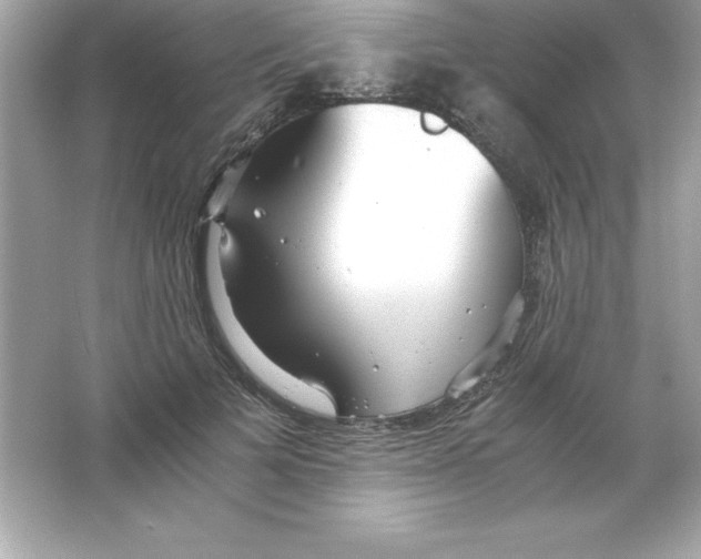 X0000065240697200603172138