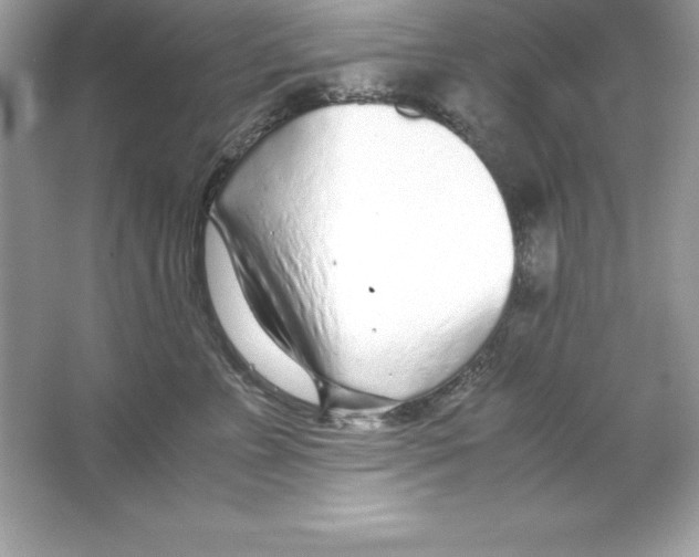 X0000065240715200603172138