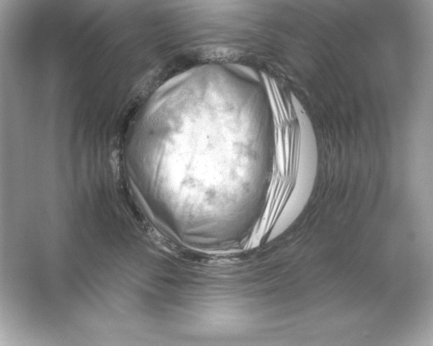 X0000065240716200603172138