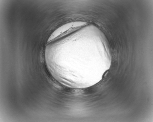 X0000065240719200603172138
