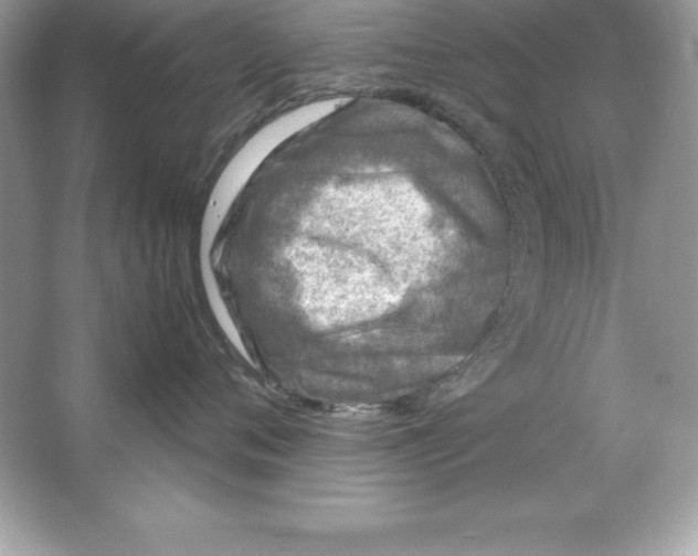 X0000065240720200603172138
