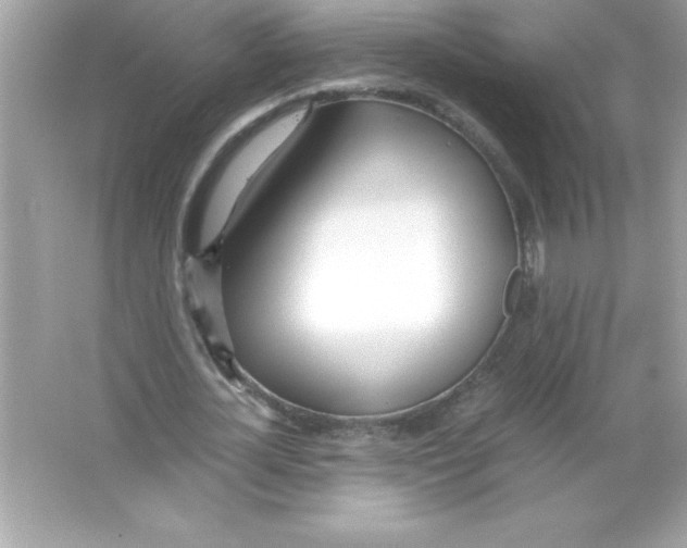 X0000065240724200603172137