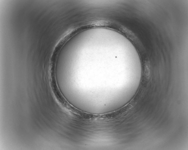 X0000065240730200603172137