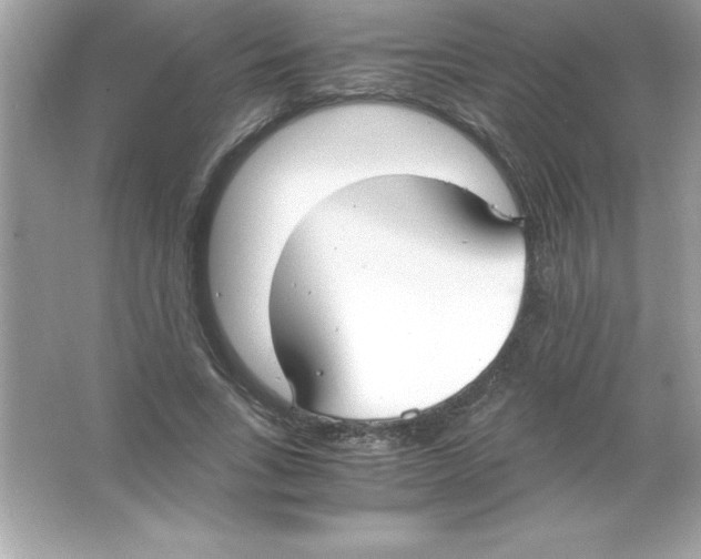 X0000065240735200603172137