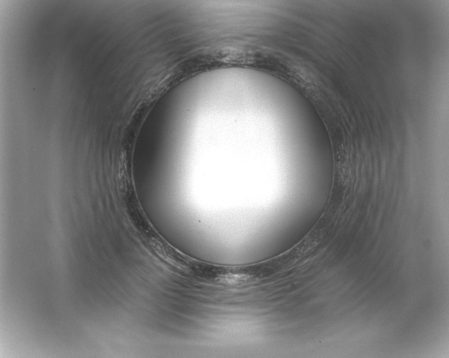 X0000065240748200603172138