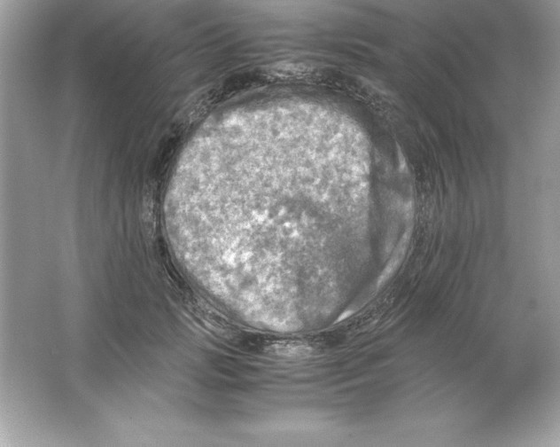 X0000065240749200603172138