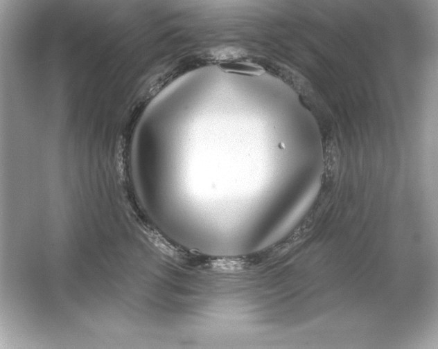 X0000065240762200603172138