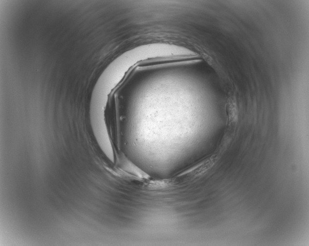 X0000065240766200603172138
