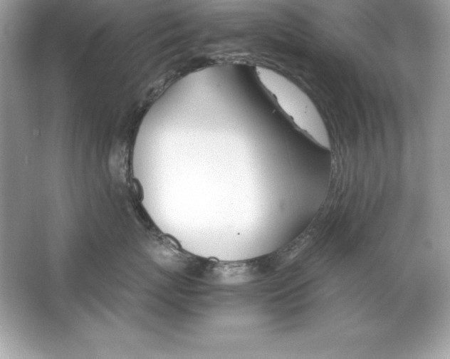 X0000065240767200603172138