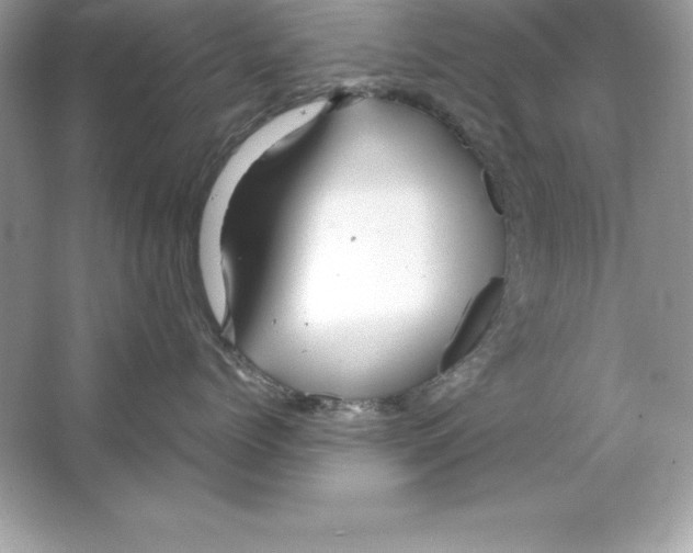 X0000065240768200603172138