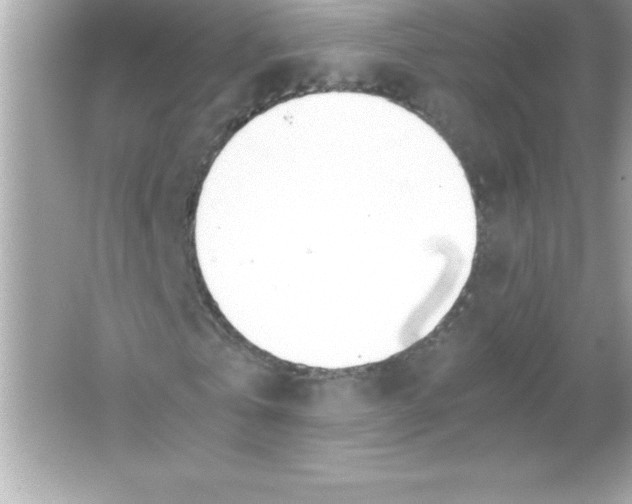 X0000065240769200603172137