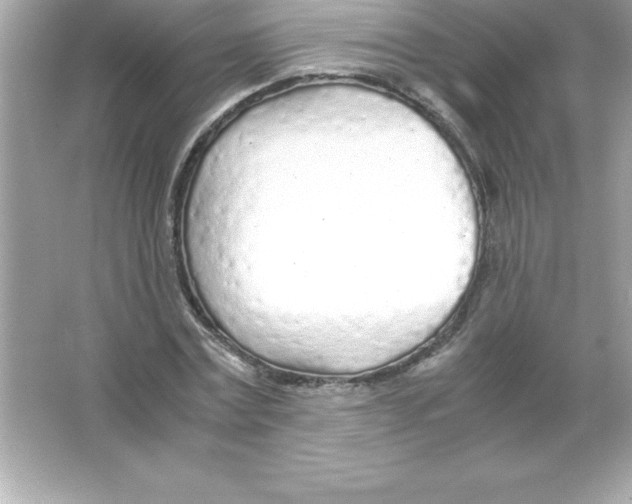 X0000065240779200603172137