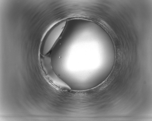 X0000065240788200603172137