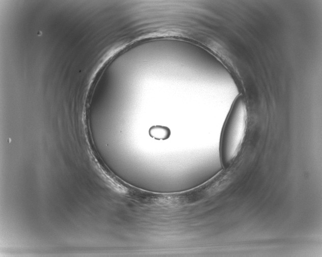 X0000065240797200603172137
