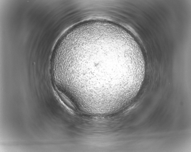 X0000065240799200603172137