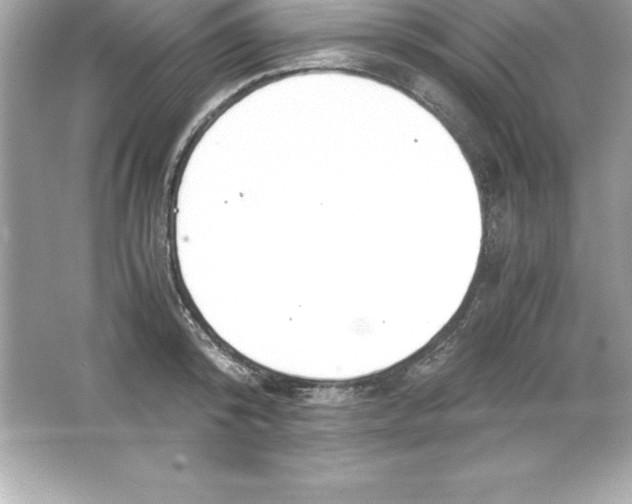 X0000065240800200603172137