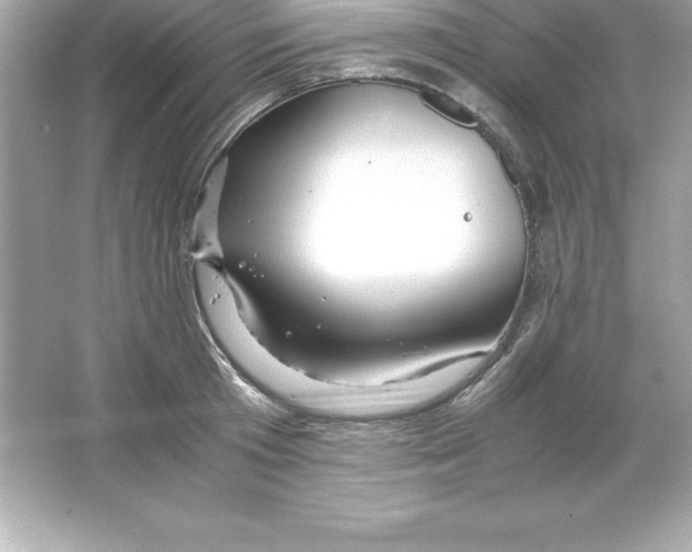 X0000065240801200603172137