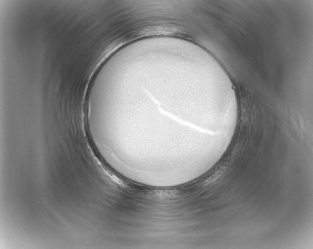 X0000065240802200603172137