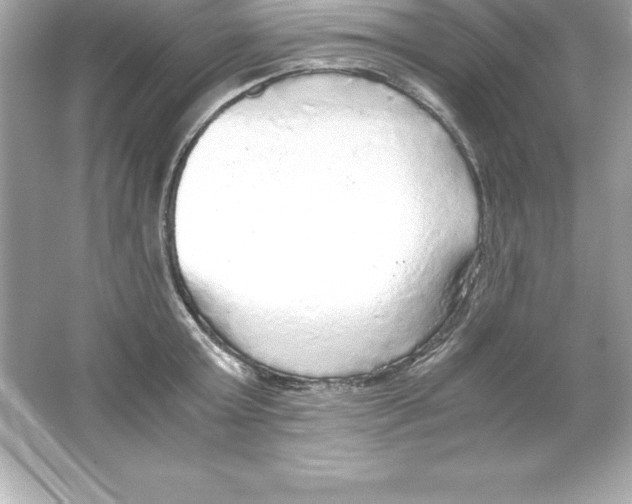 X0000065240803200603172137