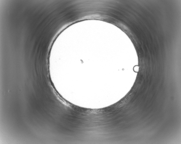 X0000065240808200603172137