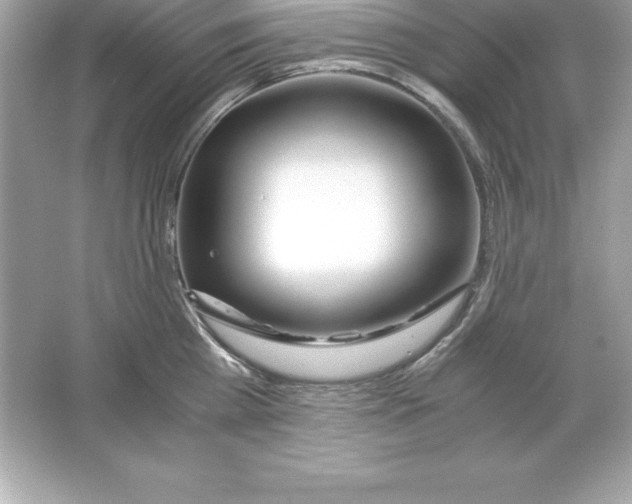 X0000065240809200603172137
