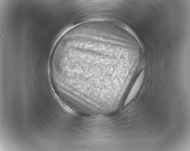 X0000065240811200603172136