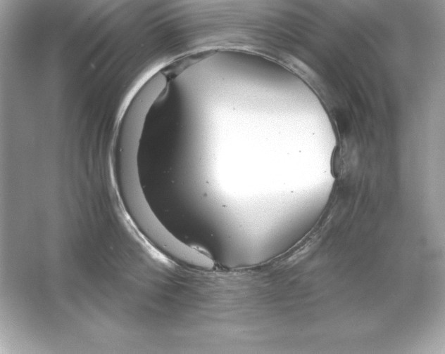 X0000065240812200603172136