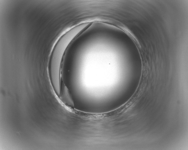 X0000065240813200603172136