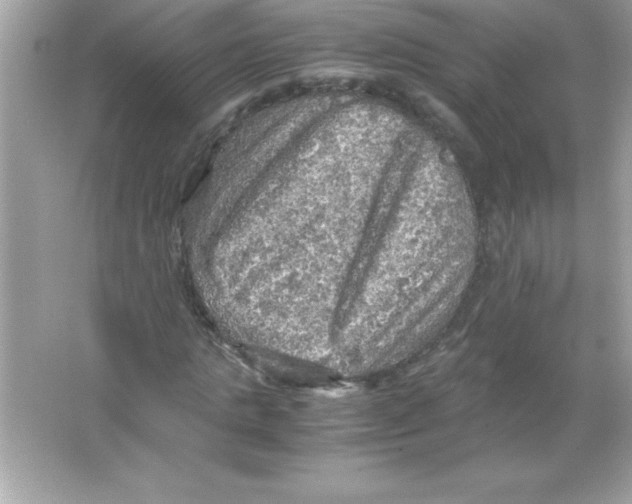 X0000065240821200603172136