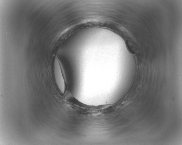 X0000065240822200603172136