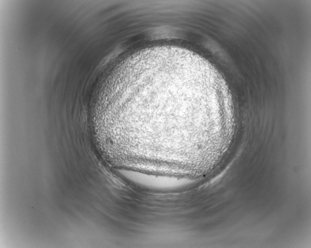 X0000065240825200603172136