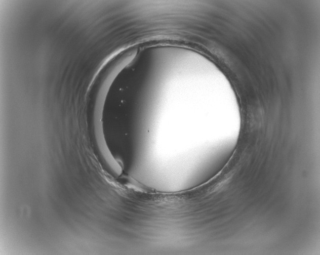 X0000065240830200603172136