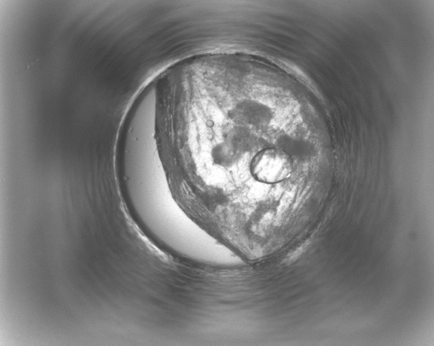 X0000065240839200603172136