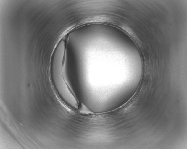 X0000065240850200603172136