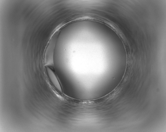 X0000065240858200603172136