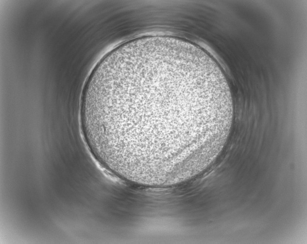 X0000065240861200603172136