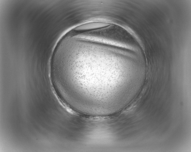 X0000065240862200603172136
