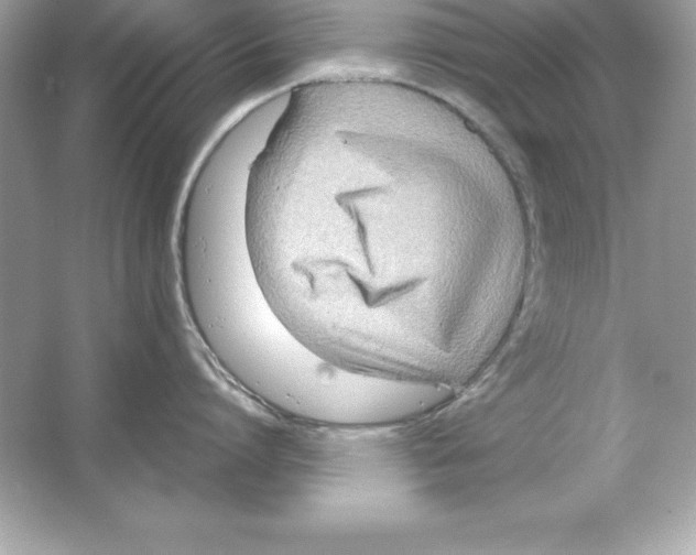 X0000065240864200603172136
