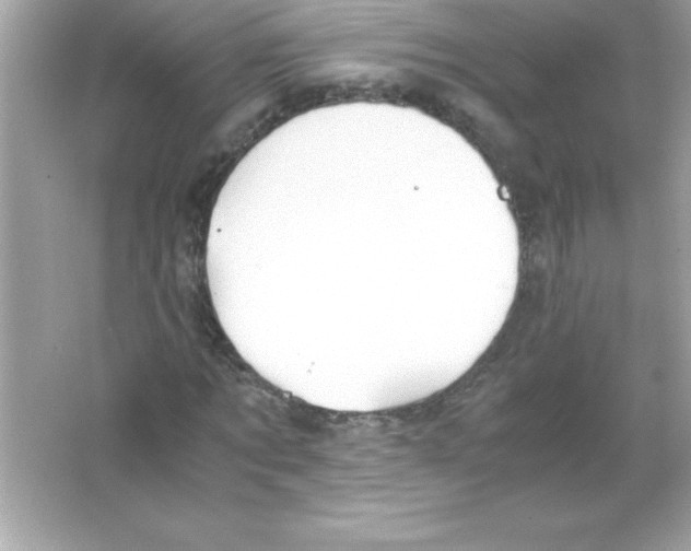 X0000065240869200603172136