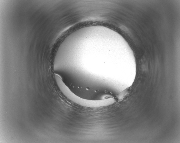 X0000065240872200603172135