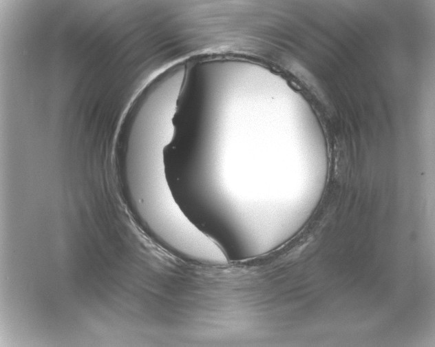 X0000065240876200603172135